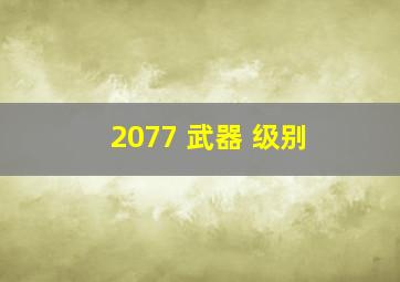 2077 武器 级别